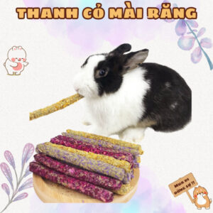 Thanh gặm Timothy, thanh cỏ mài răng cho Bọ Ú (Chuột Lang) Thỏ Cảnh