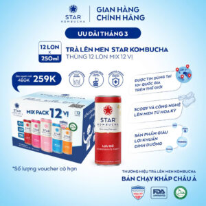 Thùng 12 lon trà lên men Star Kombucha mix 12 vị (250ml/lon) 2,5k+ KOL Quảng