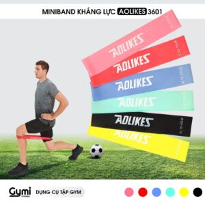 Dây Mini Band Cao Su Kháng Lực Aolikes A-3601 | Dầy Miniband Tập Mông Đùi, Bộ 6 Dây Tạng Kèm Túi